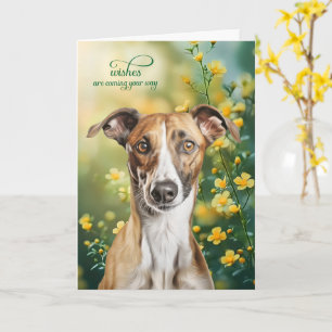 Greyhound Dog Tiny Yellow Flowers Get Well Card