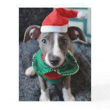 Greyhound Elf Puppy Christmas Card 