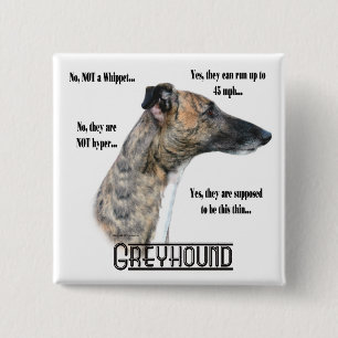 Greyhound FAQ Button