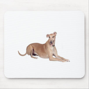 Greyhound (fawn, lying down) mouse mat
