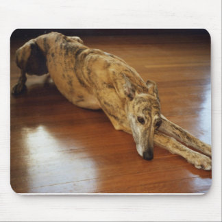 Greyhound Floor Work Mouse Mat