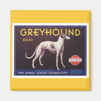 Greyhound Fruit Crate Label Magnet