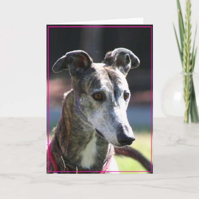 Greyhound greeting card (Front)