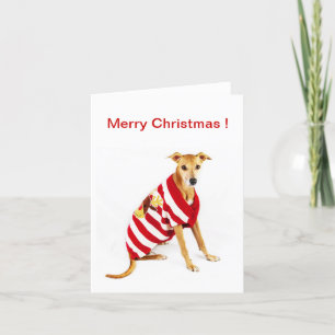 Greyhound in a Christmas Jumper! Holiday Card