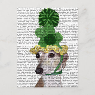 Greyhound in Green Knitted Hat 2 Postcard