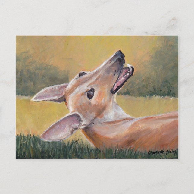 Greyhound in the Grass Dog Art Postcard (Front)