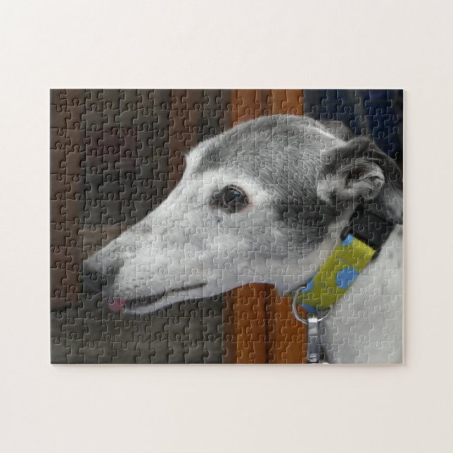 Greyhound jigsaw puzzle (Horizontal)