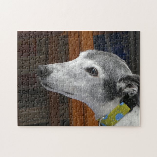 Greyhound jigsaw puzzle (Horizontal)