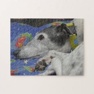 Greyhound jigsaw puzzle
