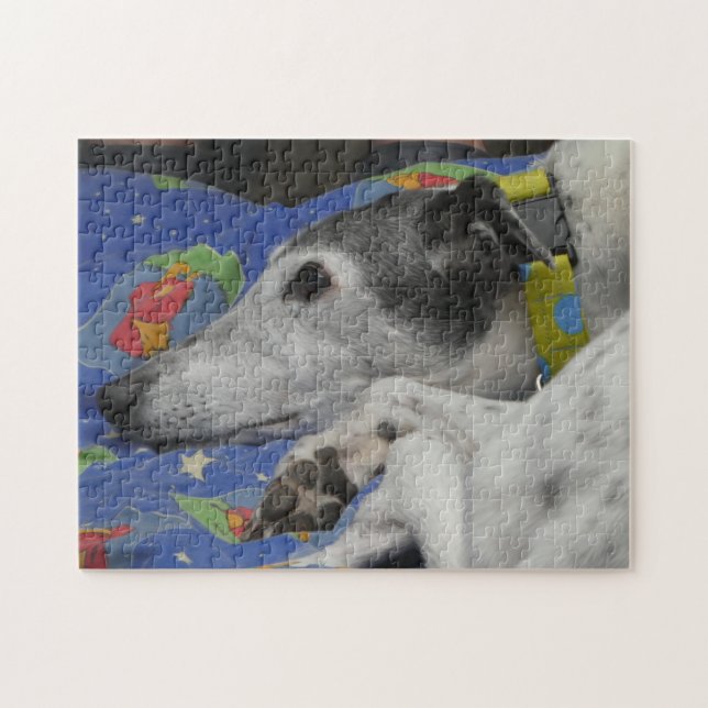 Greyhound jigsaw puzzle (Horizontal)
