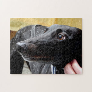 Greyhound jigsaw puzzle