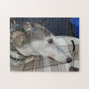 Greyhound jigsaw puzzle