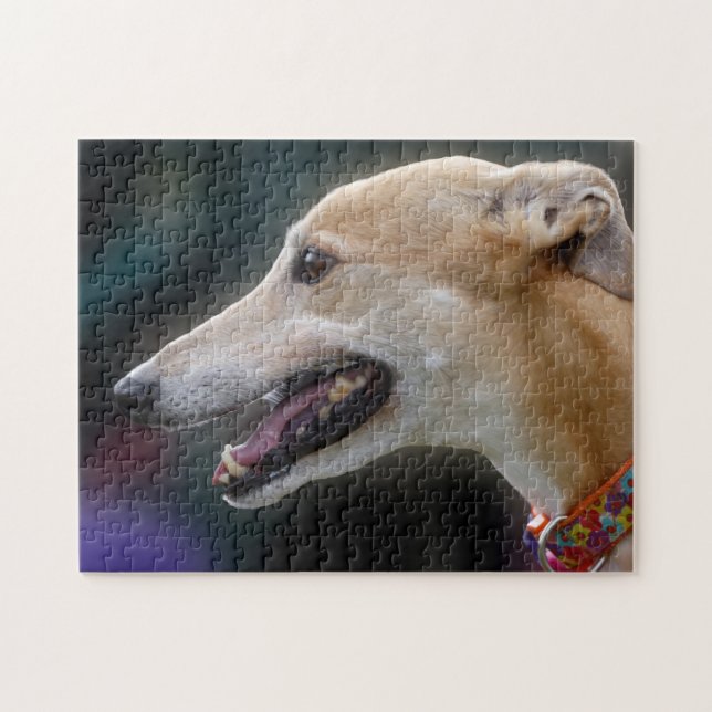 Greyhound jigsaw puzzle (Horizontal)