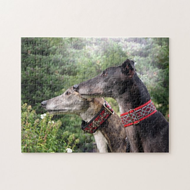 Greyhound jigsaw puzzle (Alice and Shadow) (Horizontal)