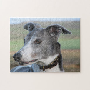 Greyhound jigsaw puzzle (p347)