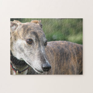 Greyhound jigsaw puzzle (p401) Alice