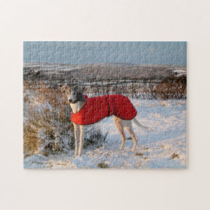 Greyhound jigsaw puzzle (p402) Blue