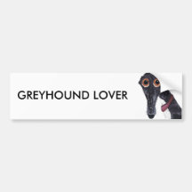 GREYHOUND LOVER