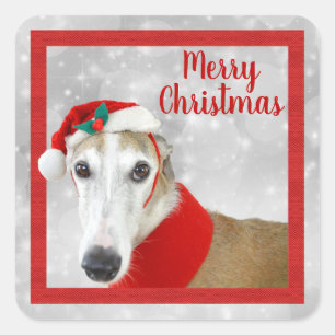 Greyhound Merry Christmas Square Sticker