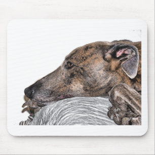 greyhound mouse mat