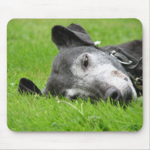 Greyhound mouse pad (p218)