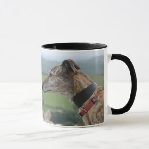 Greyhound mug 03