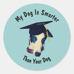 Greyhound My Dog Smarter Than Your Dog Funny  Classic Round Sticker