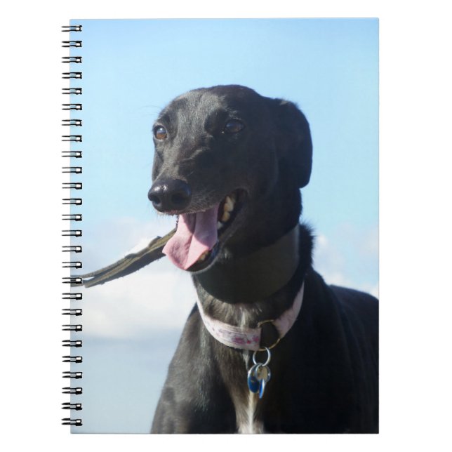 Greyhound notebook (P001) (Front)