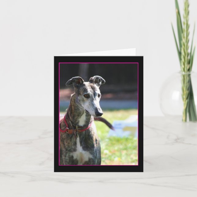 Greyhound notecard (Front)