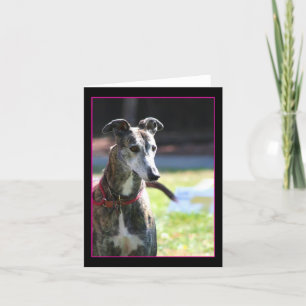 Greyhound notecard
