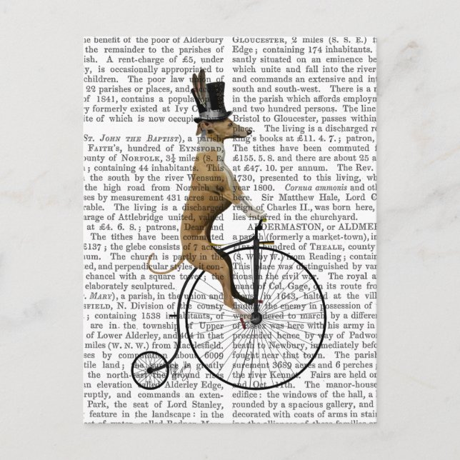 Greyhound on Black Penny Farthing Bike Postcard (Front)
