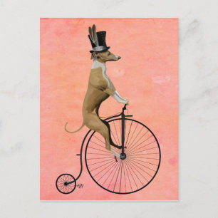 Greyhound on Black Penny Farthing Postcard