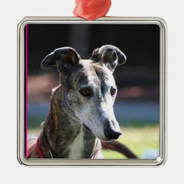 Greyhound ornament (Front)
