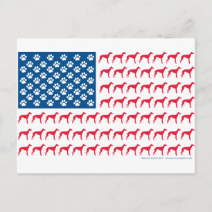 Greyhound Patriotic Flag Postcard