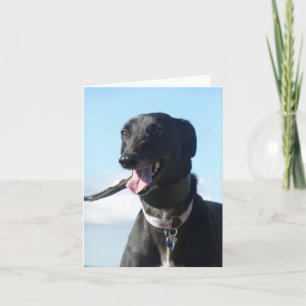 Greyhound photocard (p11) card