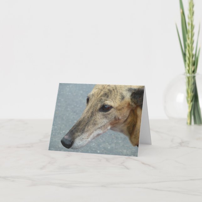 Greyhound photocard (p291) card (Front)