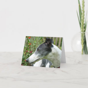 Greyhound photocard (p5) card