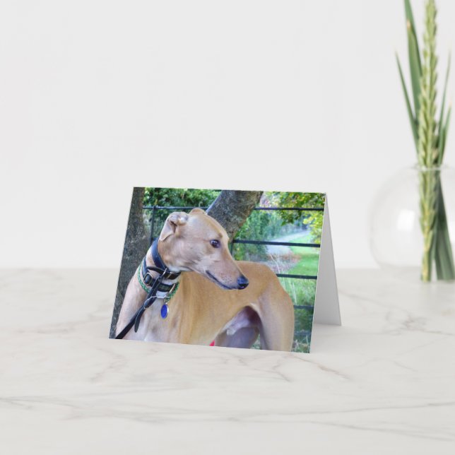 Greyhound photocard (p9) card (Front)