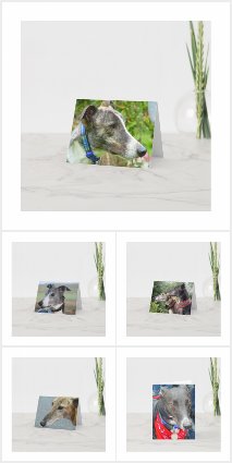 Greyhound photocards