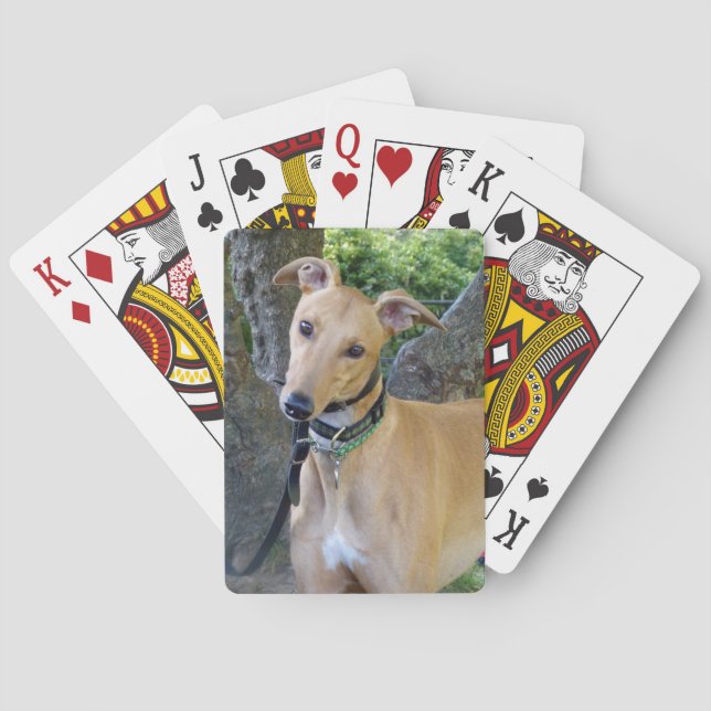 Greyhound playing cards (5) (Back)