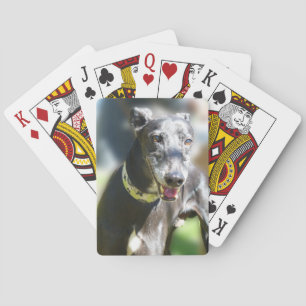 Greyhound playing cards (p300)