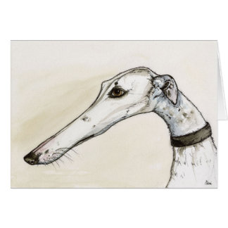 Greyhound Portrait Illustration