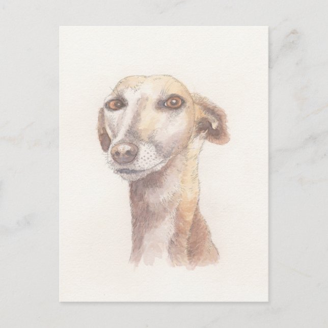 Greyhound portrait postcard (Front)