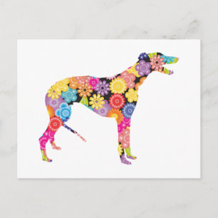 Greyhound Postcard