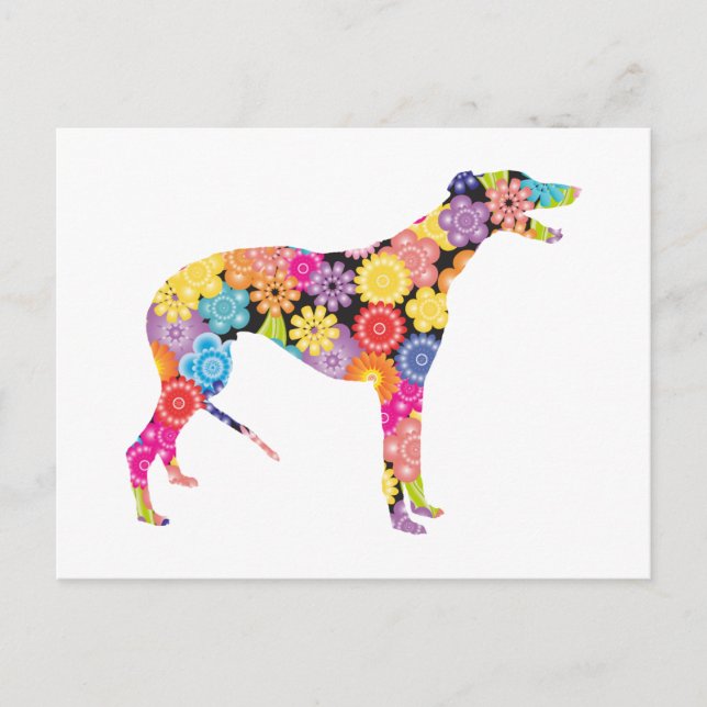 Greyhound Postcard (Front)