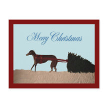 Greyhound pulling a Christmas Tree through Snow