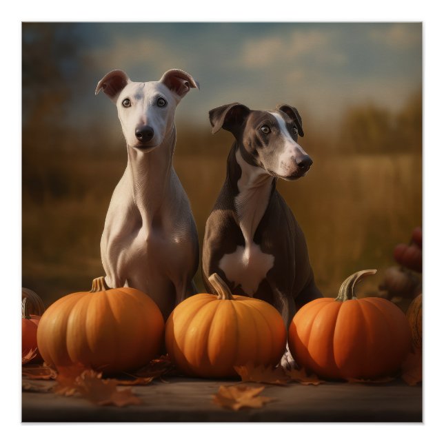 Greyhound Puppy Autumn Delight Pumpkin Poster (Front)
