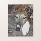 Greyhound Puzzle