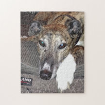 Greyhound Puzzle