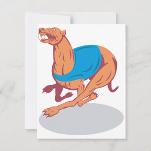 Greyhound Racing Invitations